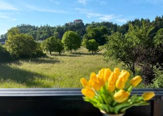 Deerwood Villa-Modern cozy 2br apartment with castle view - 1