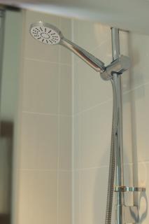 The Allendale Wolf - 8