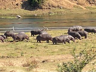 Kettie&Klip - Marloth Park - 2