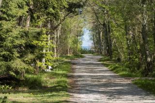OH491-Hadsund-Vidjeparken-159 - 9