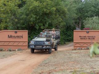 Mohlabetsi Safari Lodge - Hoedspruit - 4