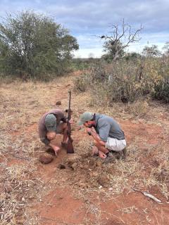 Mohlabetsi Safari Lodge - 4