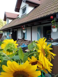 Cztery Pory Warmii Pluski pokoje do wynajęcia - 7