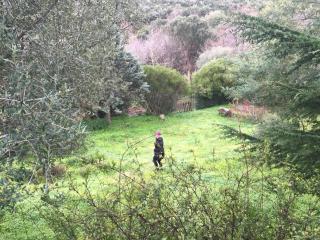 Agréable bas de villa - 9