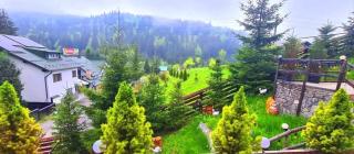 Casa Traditionala Nicolas - 4