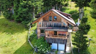 Almhütte Enzian - 6