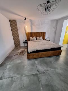 Ssalamandra home's - 6