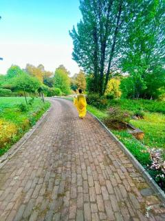 Tranquil view lodge - 8