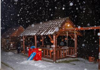 Cabana Acasa la Delia - Gârda de Sus - 2