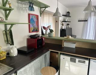 Saga studio in the center of Pasvalys - Pasvalys - 4