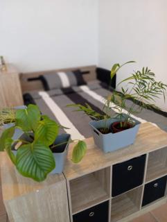 Helles Wohlfühl Apartment in Landshut-Altdorf - Altdorf - 8