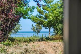 OH156-Hadsund-Halvrebene-26 - 8