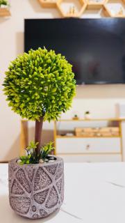 Zanya's Staycation in Trees Residences Quezon City - 6