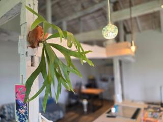 The Beach House ザ ビーチハウス - 4
