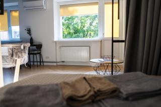 SongInn Lake Apartment - Zarasai - 3