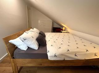 Ferienwohnungen Alpentraum - Schlummer Alp - 6