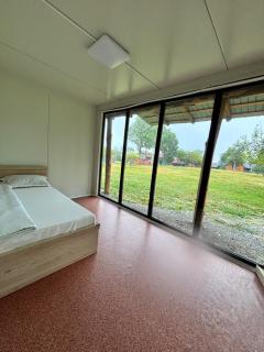 Poiana Village - - 1
