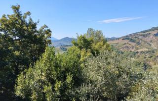 2 Bedroom Cozy Home In Sassocorvaro Auditore - 4