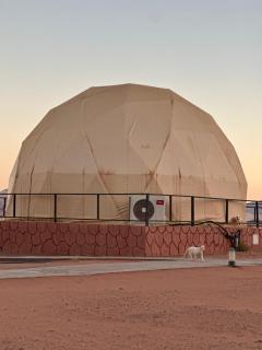 Hakon Matata Wadi Rum Jeep Tours Camp - 3