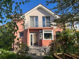 The Pink House - 0