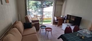 T2 clim piscine tout équipé au calme - 1