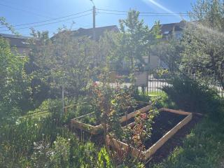 The Pink House - 4