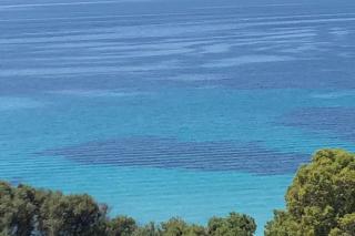 Nice And Bright 60 M With Terrace View On The Sea - Ajaccio - 9