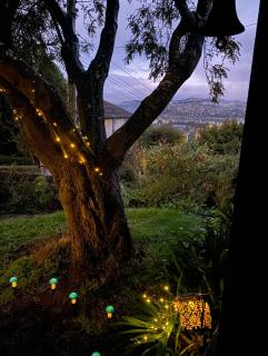 Starry Hill Cottage - Dunedin - 8