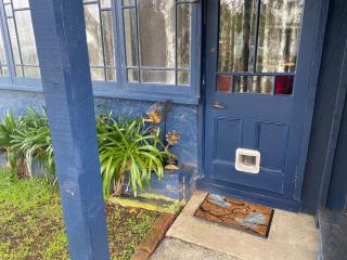 Starry Hill Cottage - Dunedin - 6