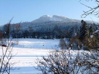 Ferienhaus Wieselweg im Feriendorf Reichenbach 6 - 8