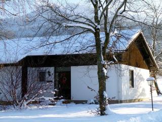 Ferienhaus Wieselweg im Feriendorf Reichenbach 6 - 9