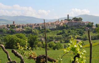 1 Bedroom Pet Friendly Home In Ortignano Raggiolo - Ortignano Raggiolo - 4