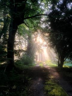 Pan Demeure et Granges - 3