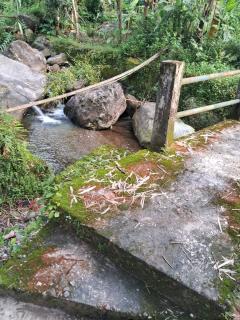 Bagmara Homestay, Tea Garden View Near Kurseong - 4