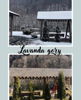 lavanda gory - Dilove - 7