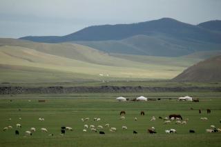Live like a Mongolian Nomad - 1