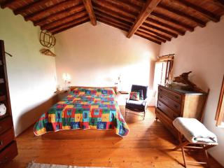 Cottage in Pescia with Pool & Garden - 4