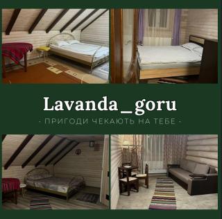 lavanda gory - Dilove - 5
