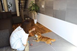 Izumo-shuku MAICHI STAY - Vacation STAY 00202v - 7