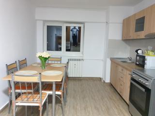 Brancoveanu Avenue Apartament - Bucarest - 6