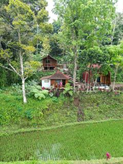 Azhani Bungalow - Tetebatu - 2