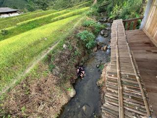 BAN LIEN Homestay VANG A BINH - Bắc Hà - 1