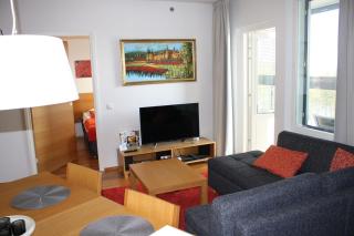 Levi Chalets 1508 Visit Levi - 3