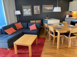 Levi Chalets 1508 Visit Levi - 6