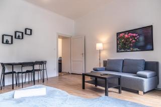 Contemporary 2-Bedroom Apartment with Garden in Central Area - 1