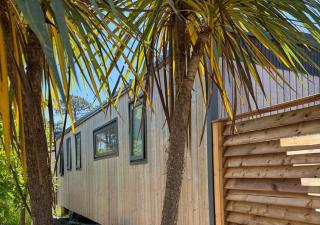 Bungalows Cap-Ferret - BandB La conciergerie - 8