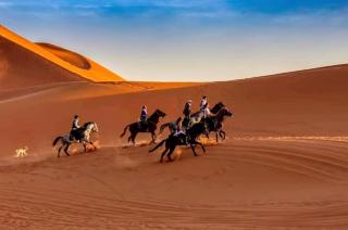 Merzouga Desert Campsite &Activities - 4