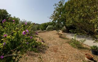 3 Bedroom Beautiful Apartment In Zaton Doli - Doli - 2