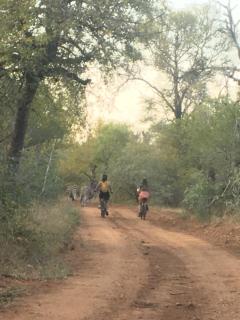 Panache Wildlife Cottage-Self Catering - Hoedspruit - 8