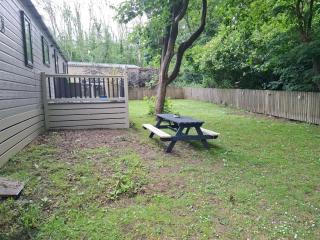 Fir Tree - 2 bedrooms sleeps 5 - Hastings - 5